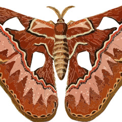 Horatio Barnzley Armitage