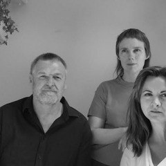 David Long and The Whens