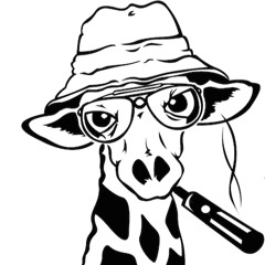 VapeOverload Hookups