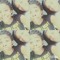 tionne_seymour
