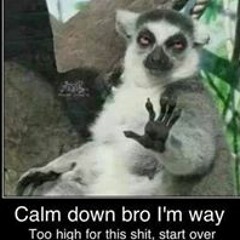 Jaquan Focused Edmunds