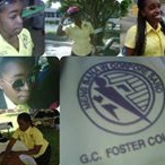 Icrazii Allie Leelee