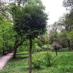 lapeyresabrinalapeyre