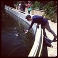 Stiches-Shawn Mendes ft. hailee stainfeld