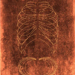 in vivo@hiroshima, japan