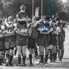 Johan Dupreez