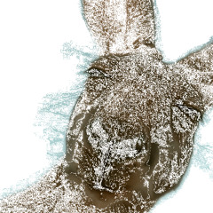 Rogue Legacy (Main Theme)