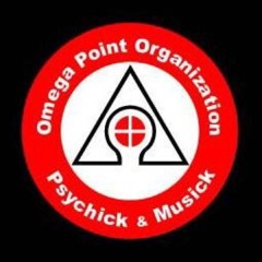 omegapoint organization
