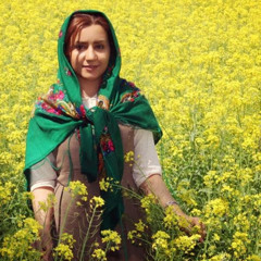 fereshteh joodaki