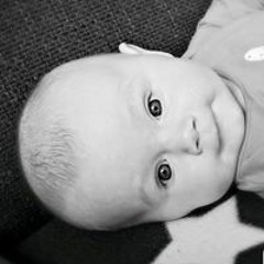 Andrea Guyt-Van Dijk