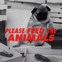 Please Feed the Animals
