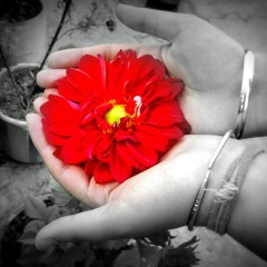 diksha20