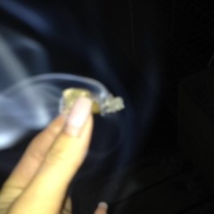 phaam_