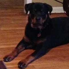 Ann ForGodsoloved Dotson