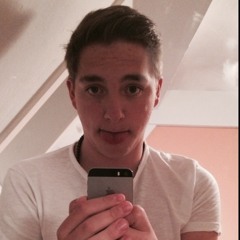 Martin dove of peace