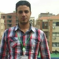 Mahmoud Magdy Amin