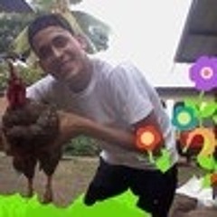 Roberto Bustamante 8