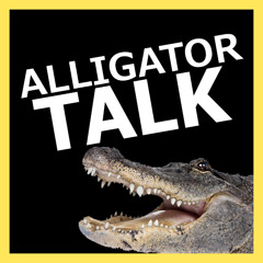 Alligator Talk