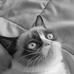 Cameron Michael Chunn