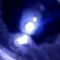 TheTreebrook_