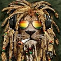 Congo Jungle