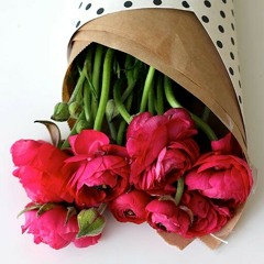 khatoon966