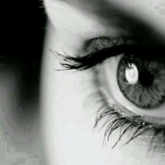 user116069165