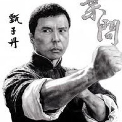 Ip Man 12