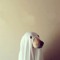 ファントムケーキ (boo)