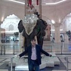 Ashar Slonyk Lapidary