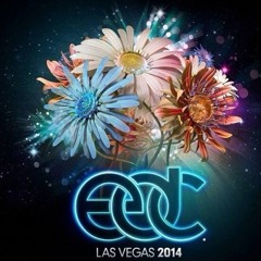 New World Punx – Live @ EDC Las Vegas 2014 – 22.06.2014