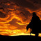 Wizard of Darkness.