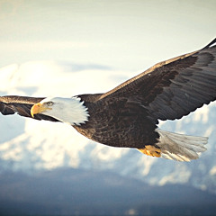 #michaelbord