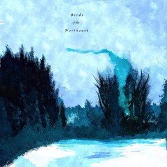 Birds of the Northeast