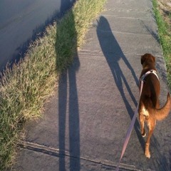 Cofedeco Eliezer G L