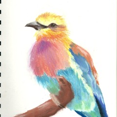 Song Birds