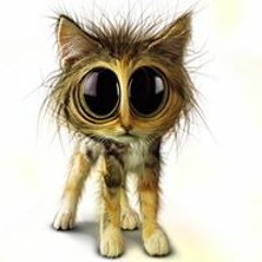 Berushka Kruszczynska