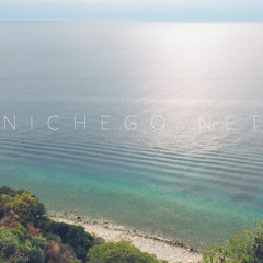 Nichego Net