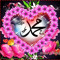 Morshed Alam 10