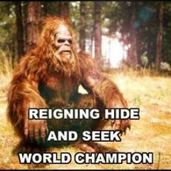 hippiesasquatch