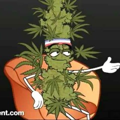 Dr. Seuss 420