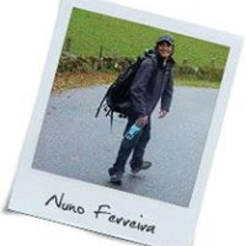 Nuno Ferreira 105’s avatar