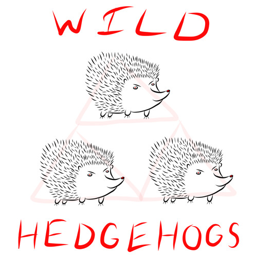 WILD HEDGEHOGS’s avatar