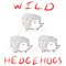 WILD HEDGEHOGS