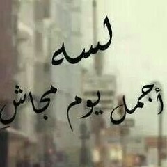 user488244933
