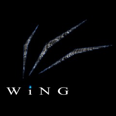 wing_men