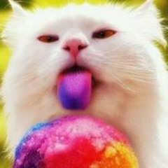 Bill Kleyder Dominguez