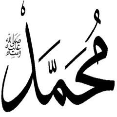 Muhammad Hemida Al-Aziz