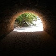 Steven Happytoobehere