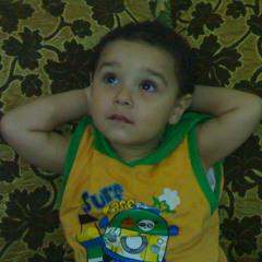 Ahmed Shokr 6